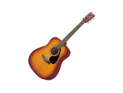 Yamaha F310