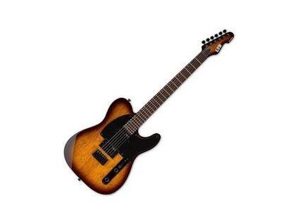ESP LTD TE-200