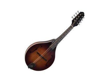 The Loar Brownburst