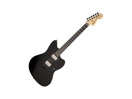 Fender Jim Root