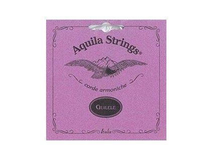 Aquila 96C New Nylgut