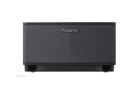 Roland Cube