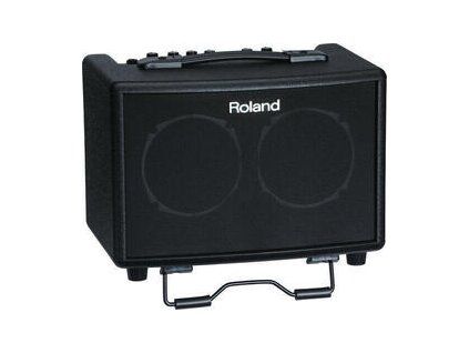 Roland AC Battery