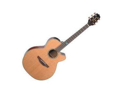 Takamine TSF40C
