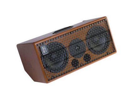 Acus BANDMATE Active Stage Monitor