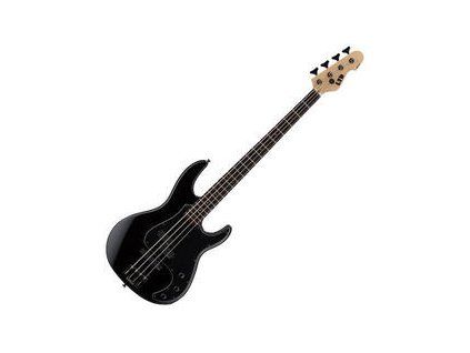 ESP LTD Black Neck