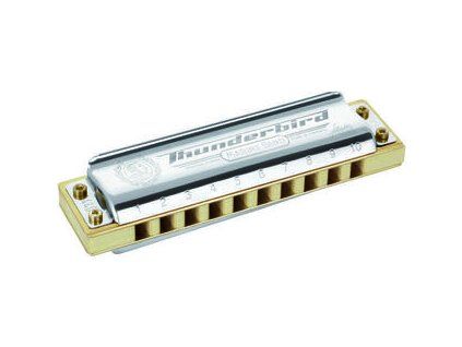 Hohner Diatonic harmonica