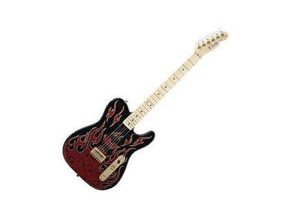 Fender James Burton Telecaster MN Paisley Flames