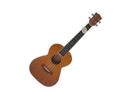 Aiersi Tenor Bottom and