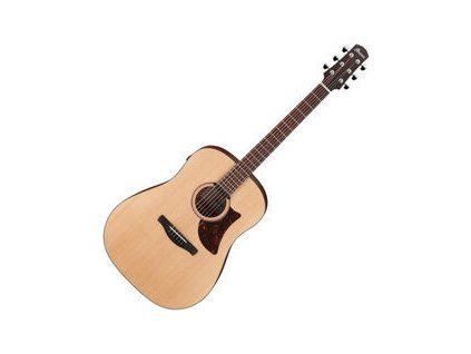 Ibanez AAD100E-OPN