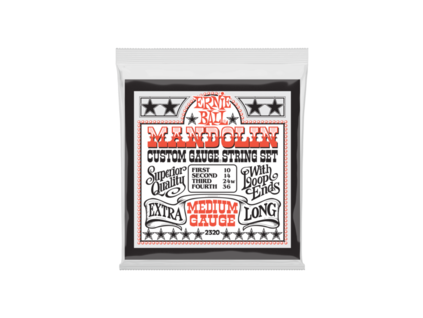 Ernie Ball