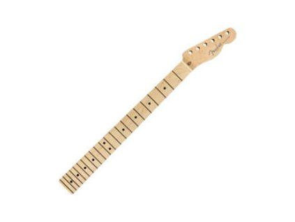 Fender American Professional 22 Guitar neck