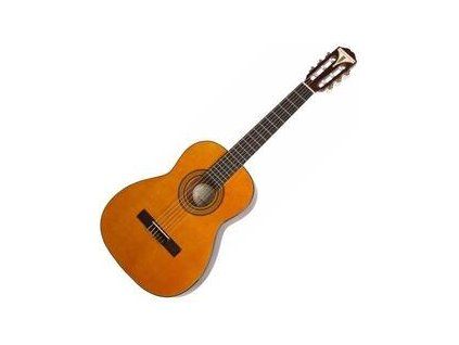 Epiphone PRO-1