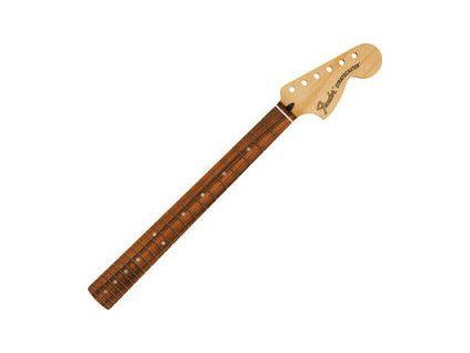 Fender Deluxe Series Stratocaster 22 Pau Ferro Guitar neck