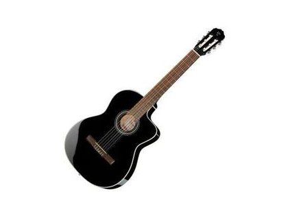 Takamine 4/4