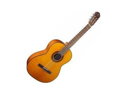 Takamine 4/4