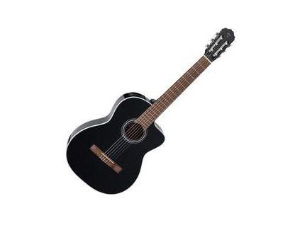 Takamine 4/4