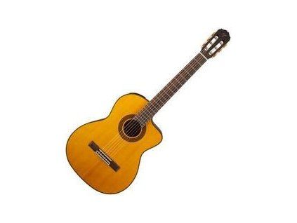 Takamine 4/4