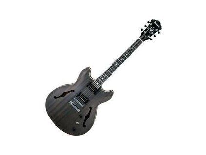 Ibanez Transparent Flat