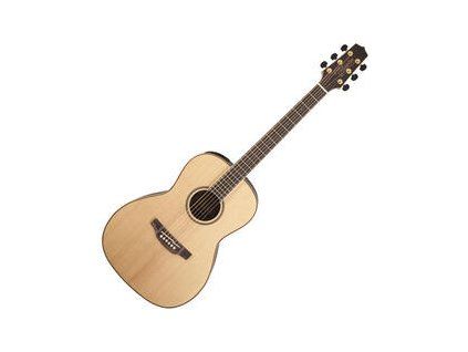 Takamine Natural