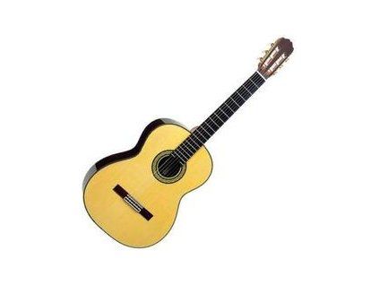 Takamine Natural