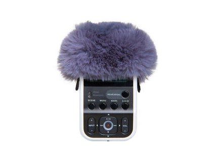 Roland R07-WS