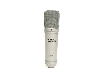 Soundking EC 010 W