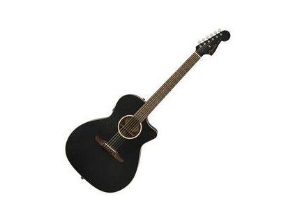 Fender Newporter Special