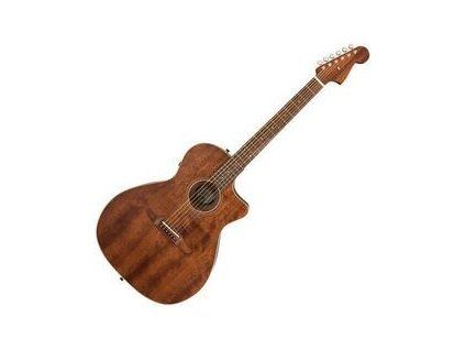 Fender Newporter Special