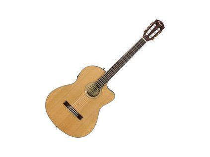 Fender WN 4/4 Natural