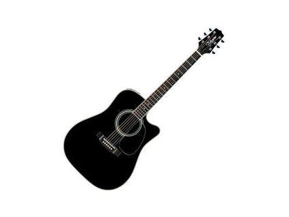 Takamine