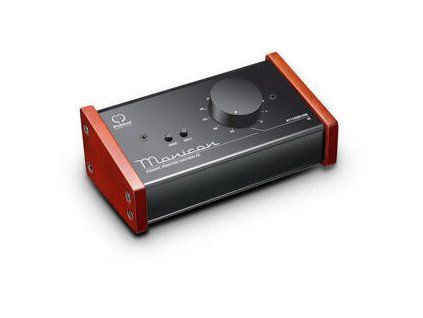 Palmer Monicon