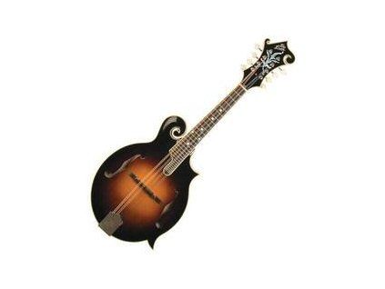 The Loar Sunburst Number of