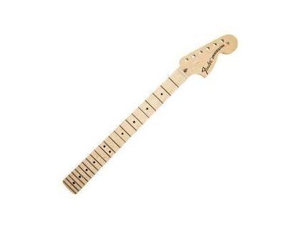 Fender American Special Stratocaster 22 Guitar neck