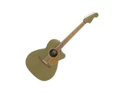 Fender Newporter Player