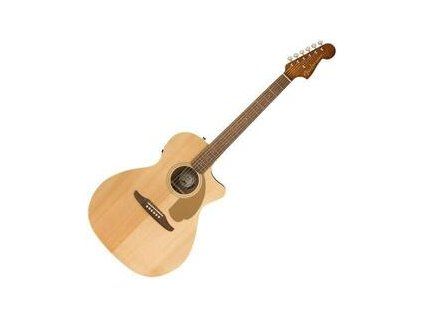Fender Newporter Player
