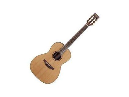 Takamine P3NY