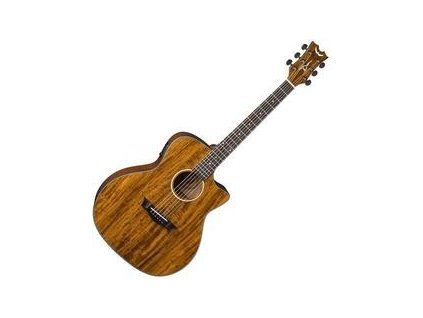 Dean Guitars AXS Exotic Cutaway A/E
