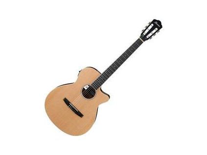 Ibanez Natural