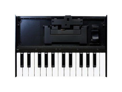 Roland K-25M
