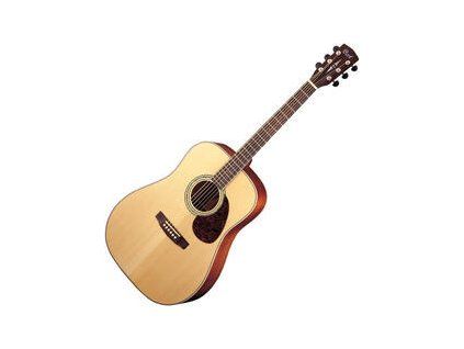 Cort Earth 100 Natural