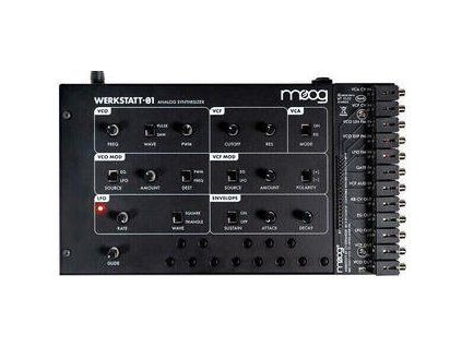 MOOG Werkstatt-01 & Expander