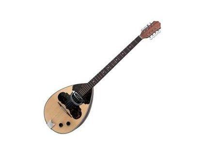 VGS 8 Bouzouki