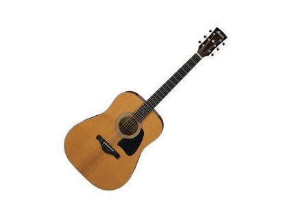 Ibanez Natural