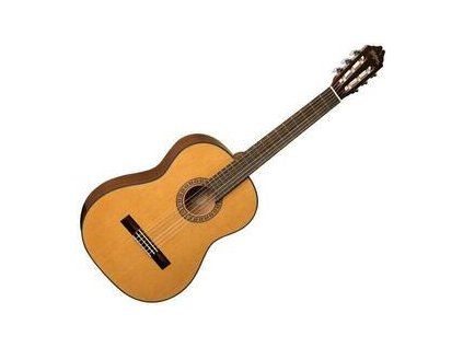 Washburn 4/4 Natural