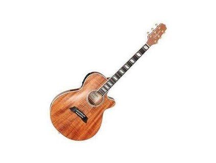 Takamine TSP178ACK-N Natural