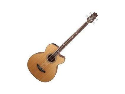 Takamine GB30CE