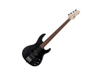 ESP LTD