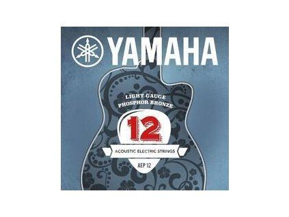 Yamaha AEP12