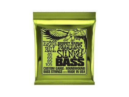 Ernie Ball Slinky Bass